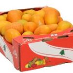 برتقال ذهبي صندوق صغير
