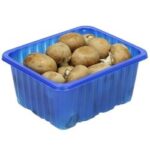 فطر كستنائى هولندي