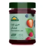 أرض الطبيعة مربى توت مشكل عضوي 200 جم